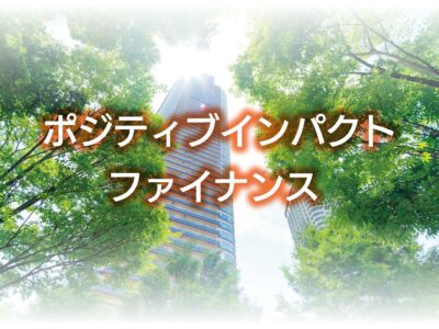 ポジティブインパクトファイナンス　2サイズ