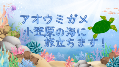 Blue and Pink Watercolor Illustrated Underwater Ocean Desktop Wallpaper (2)