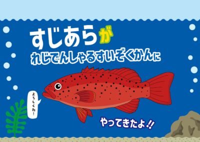水族館ポップ【子ども用】