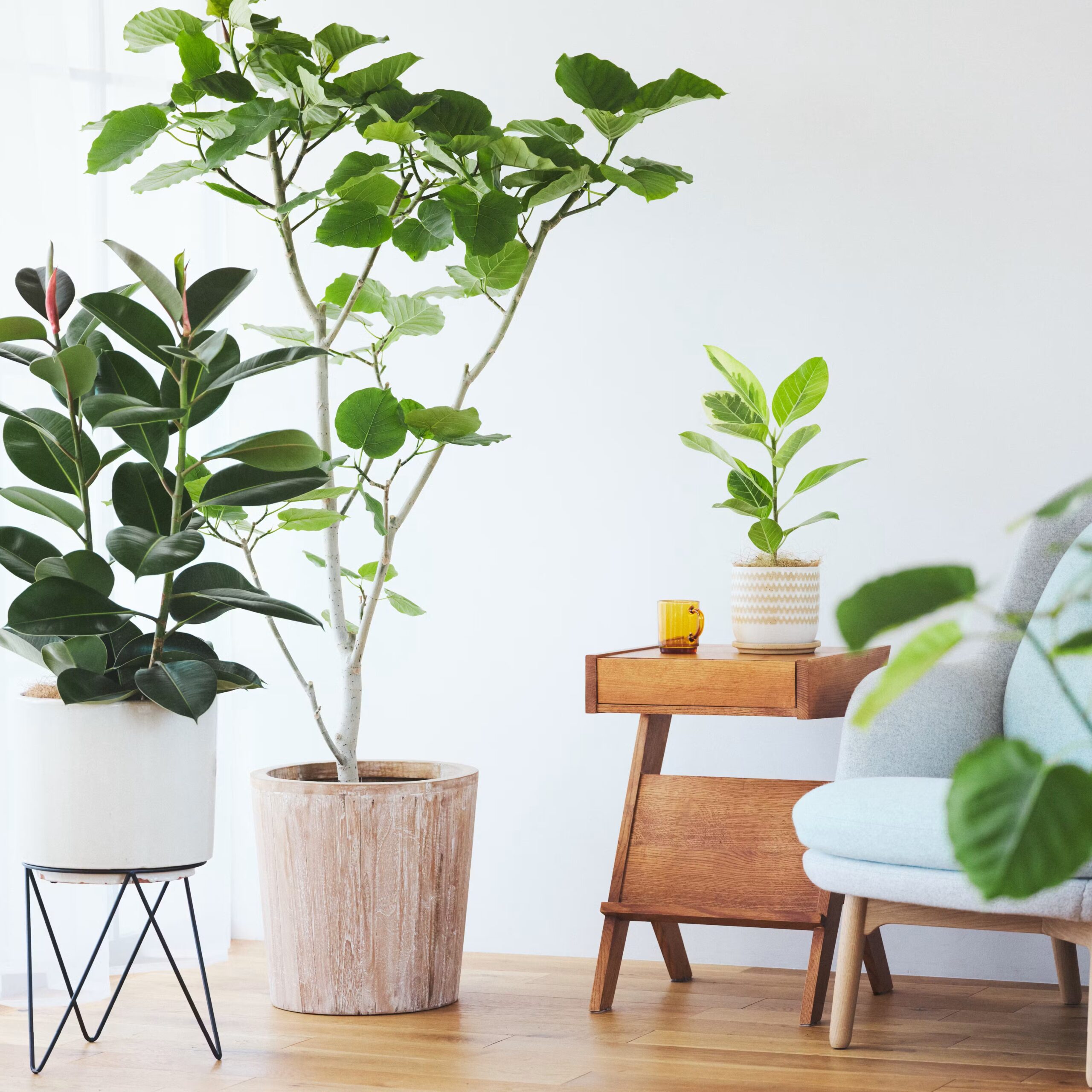 interior_main