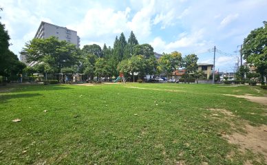 あおぎり公園