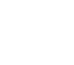 History 沿革